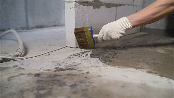 24/7 Emergency Waterproofing experts in Edgewater, MD